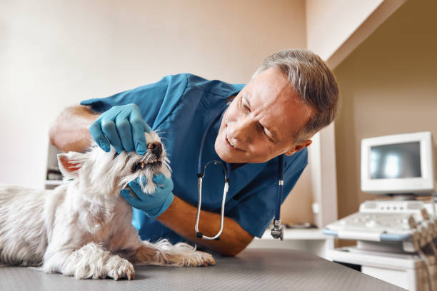 Best Emergency Tooth Extraction in Mattydale, NY